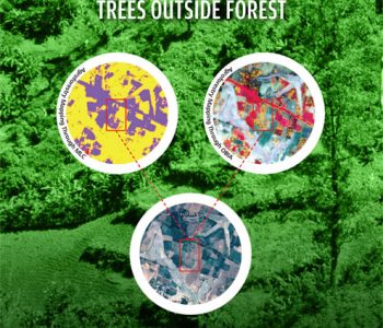 Mapping Agroforestry and trees outside forest