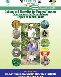 Options and strategies for Farmer's Income Enhancement in Bundelkhand Region of Central India