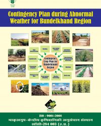 Contingency Plan during Abnormal Weather for Bundelkhand Region