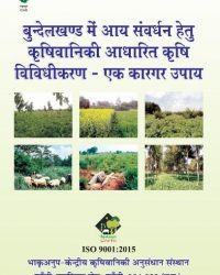 बुंदेलखंड में आय संवर्धन हेतु कृषिवानिकी आधारित कृषि विविधीकरण - एक कारगर उपाय
